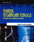 Teknik Tegangan Tinggi: Prinsip Dan Aplikasi Praktis