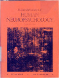 Fundamentals Of Human Neuropsychology